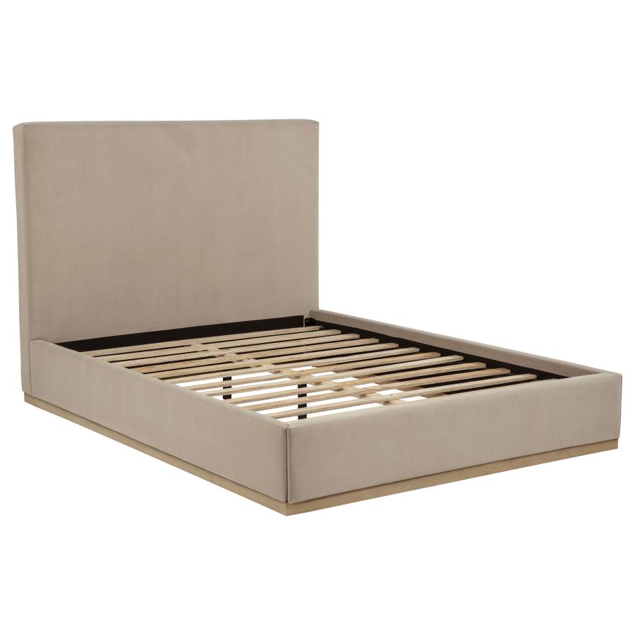 Knox Upholstered Platform Bed