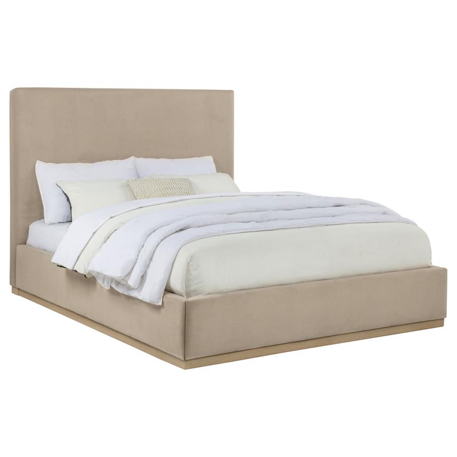 Knox Upholstered Platform Bed