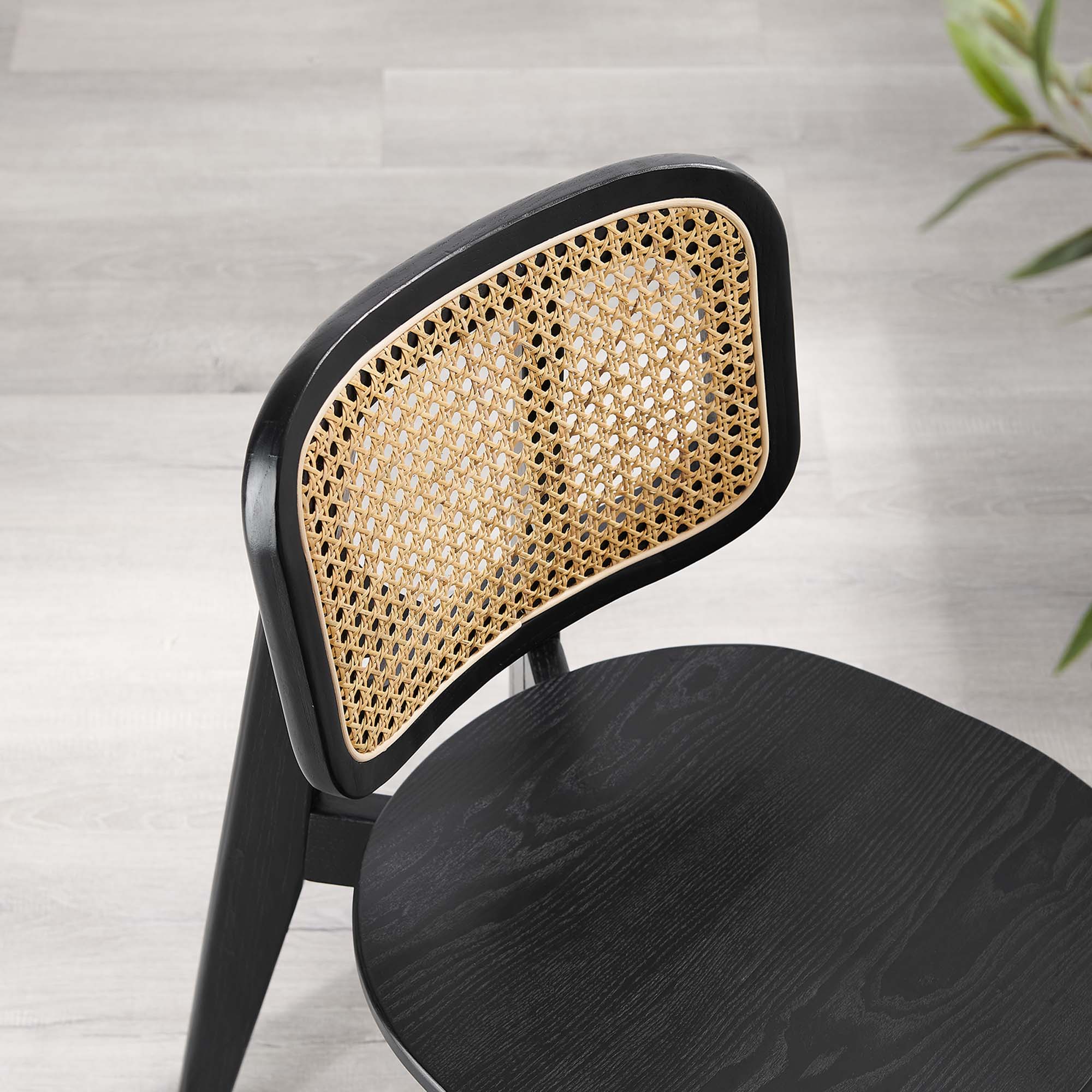 Habitat Wood Dining Side Chair - Black