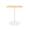 Lippa 24" Square Wood Dining Table - White Natural