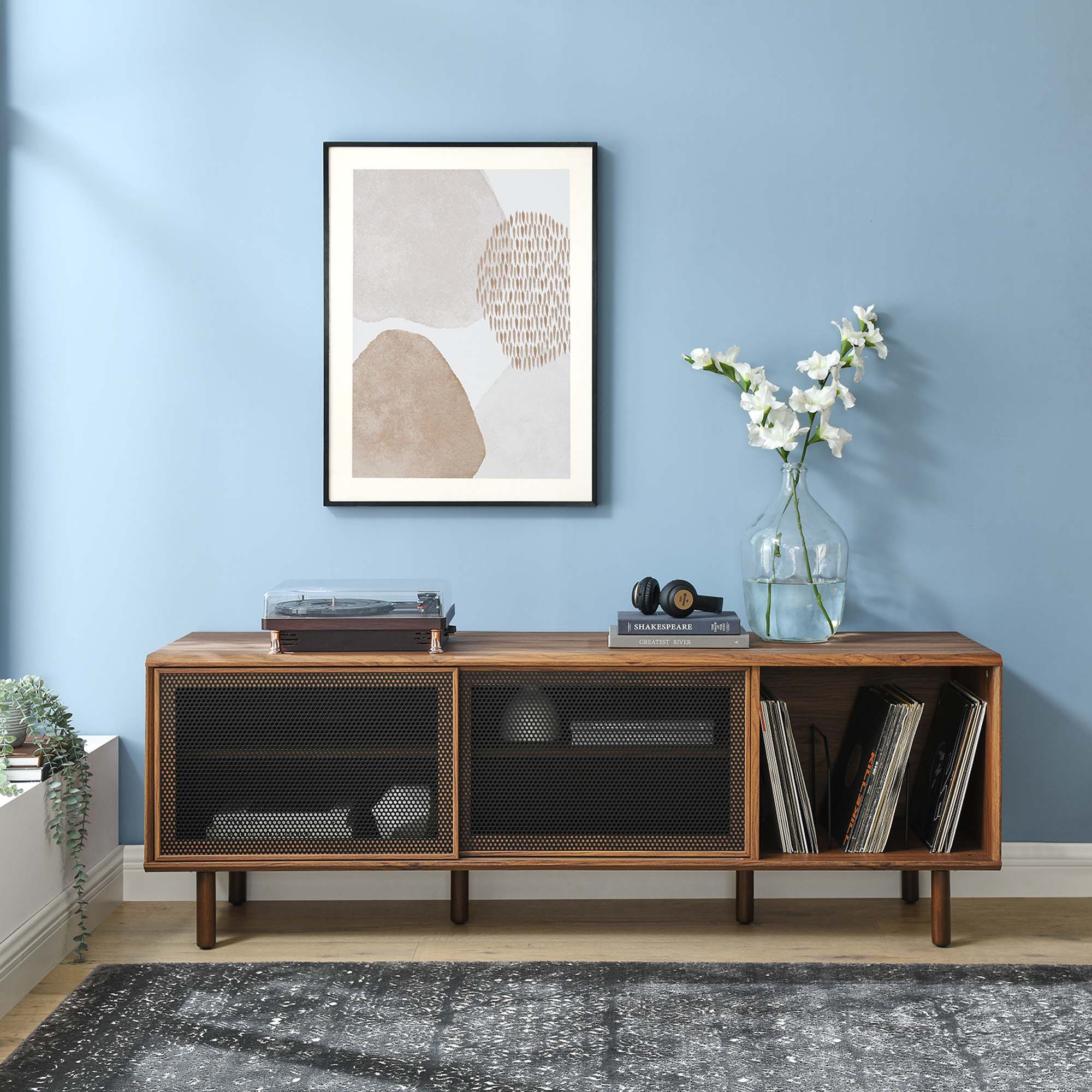 Kurtis 67" TV and Vinyl Record Stand - Walnut
