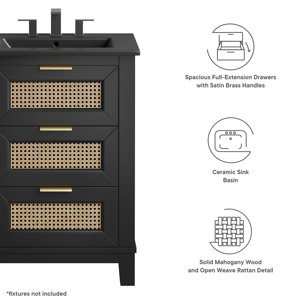 Dixie 24" Solid Wood Bathroom Vanity Cabinet - Black Black