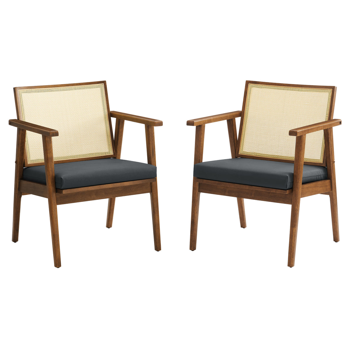 Thera Vegan Leather and Cane Accent Armchairs Set of 2 - Walnut Black