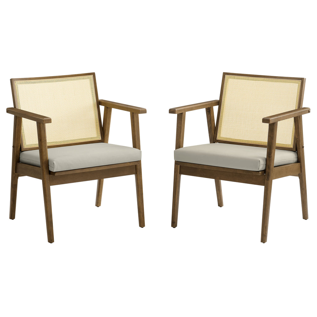 Thera Vegan Leather and Cane Accent Armchairs Set of 2 - Weathered Oak Stone
