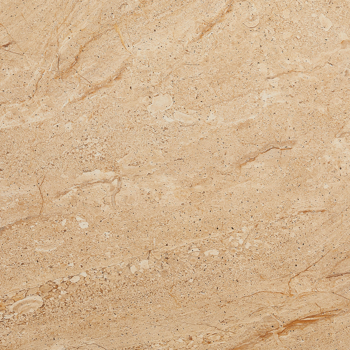 Elowen Indoor - Outdoor Patio Textured Faux Travertine Coffee Table