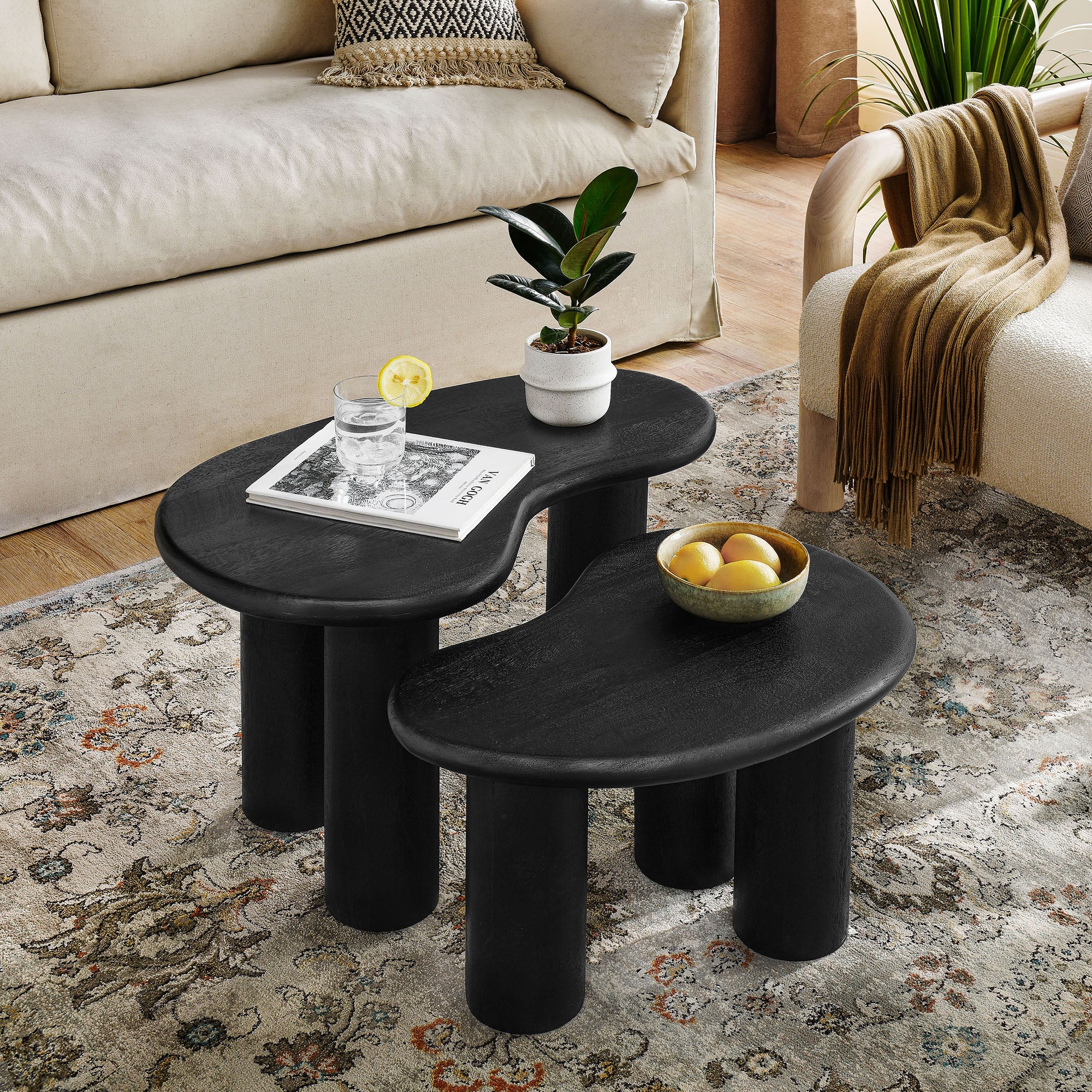 Hackney Mango Wood Nesting Coffee Table Set - Black