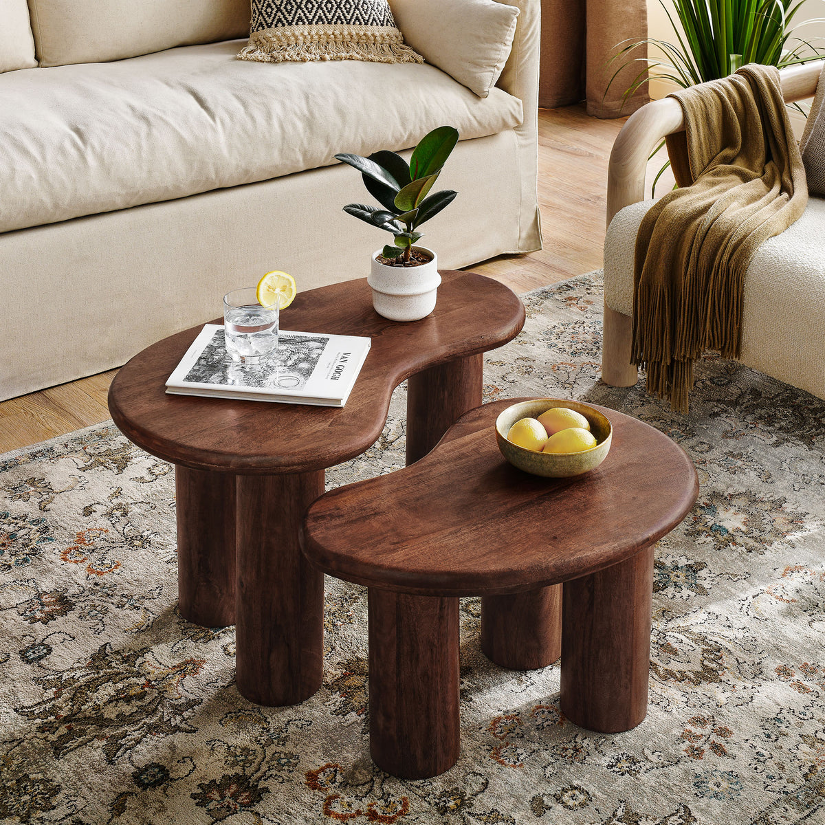Hackney Mango Wood Nesting Coffee Table Set - Walnut