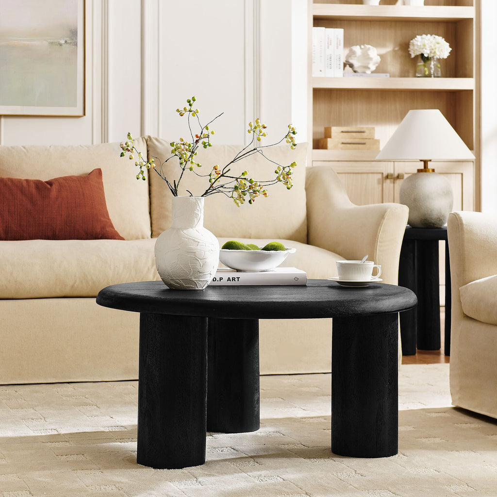 Mavina Round Mango Wood Coffee Table - Black