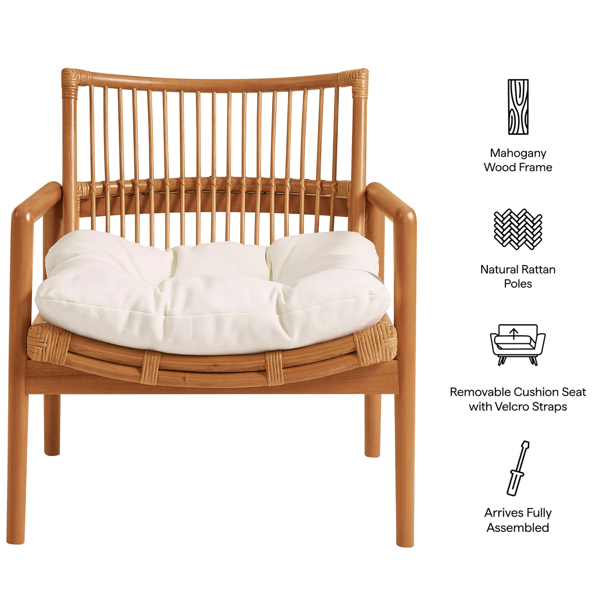 Tula Wood Rattan Lounge Chair - Brown