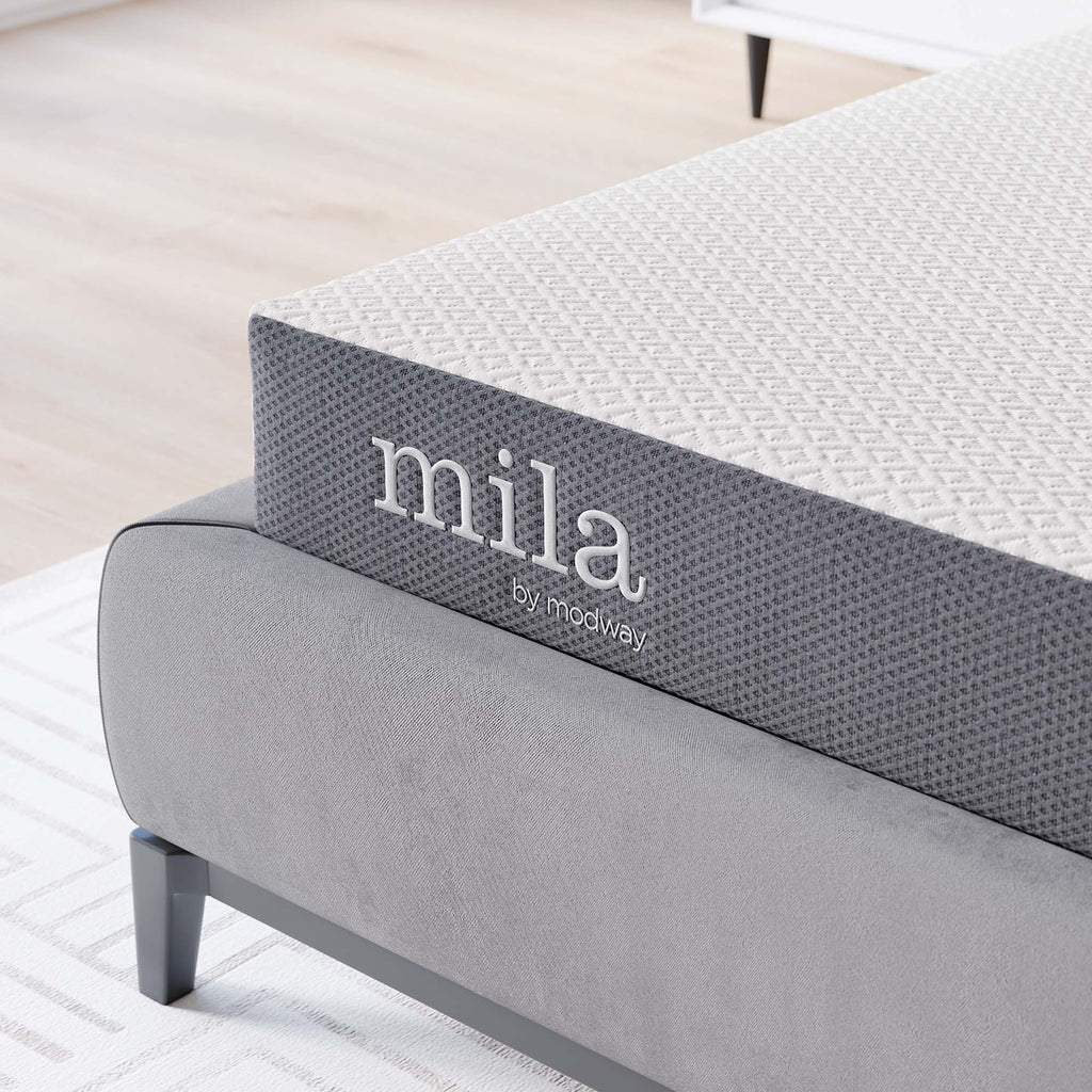 Mila 6" Queen Mattress