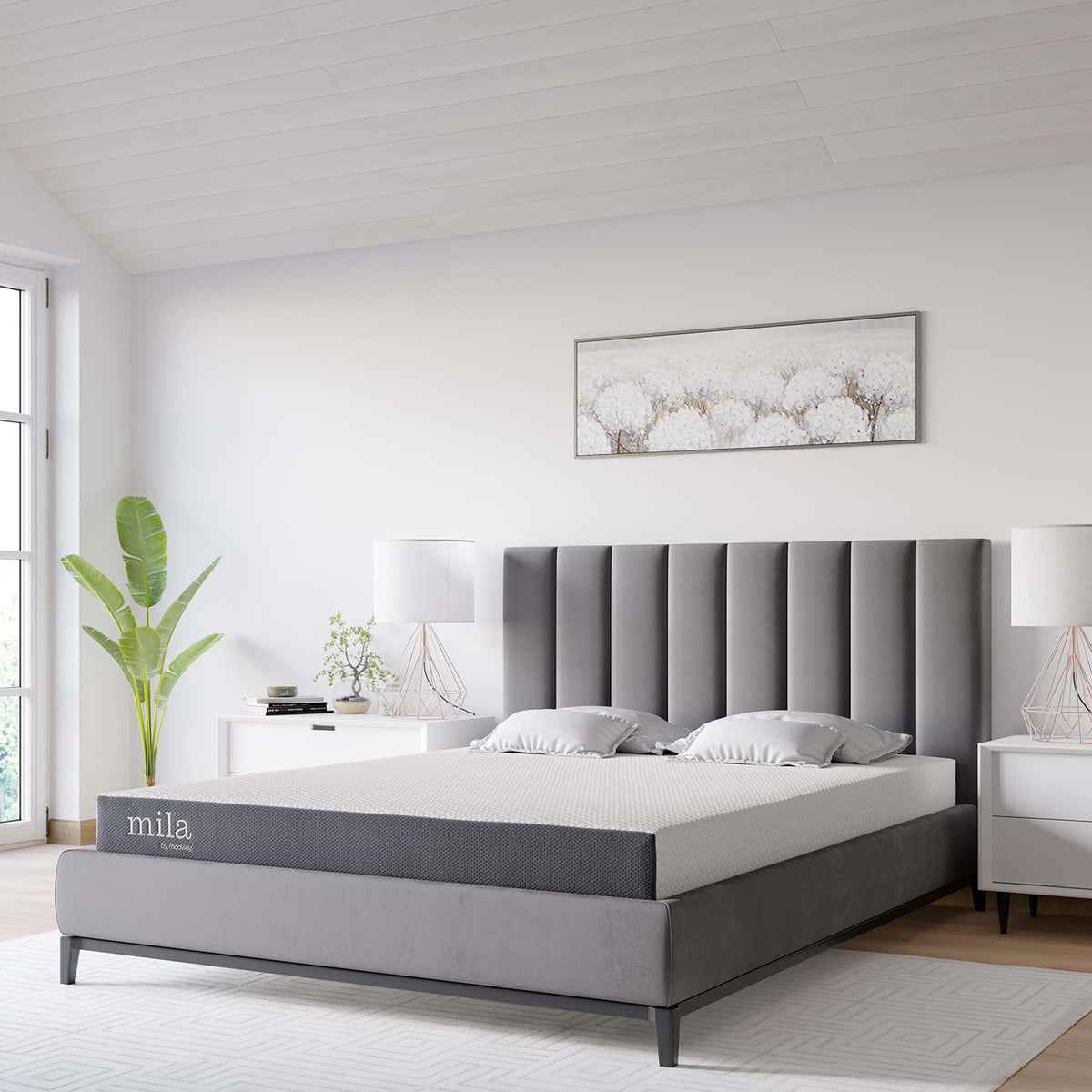 Mila 6" King Mattress
