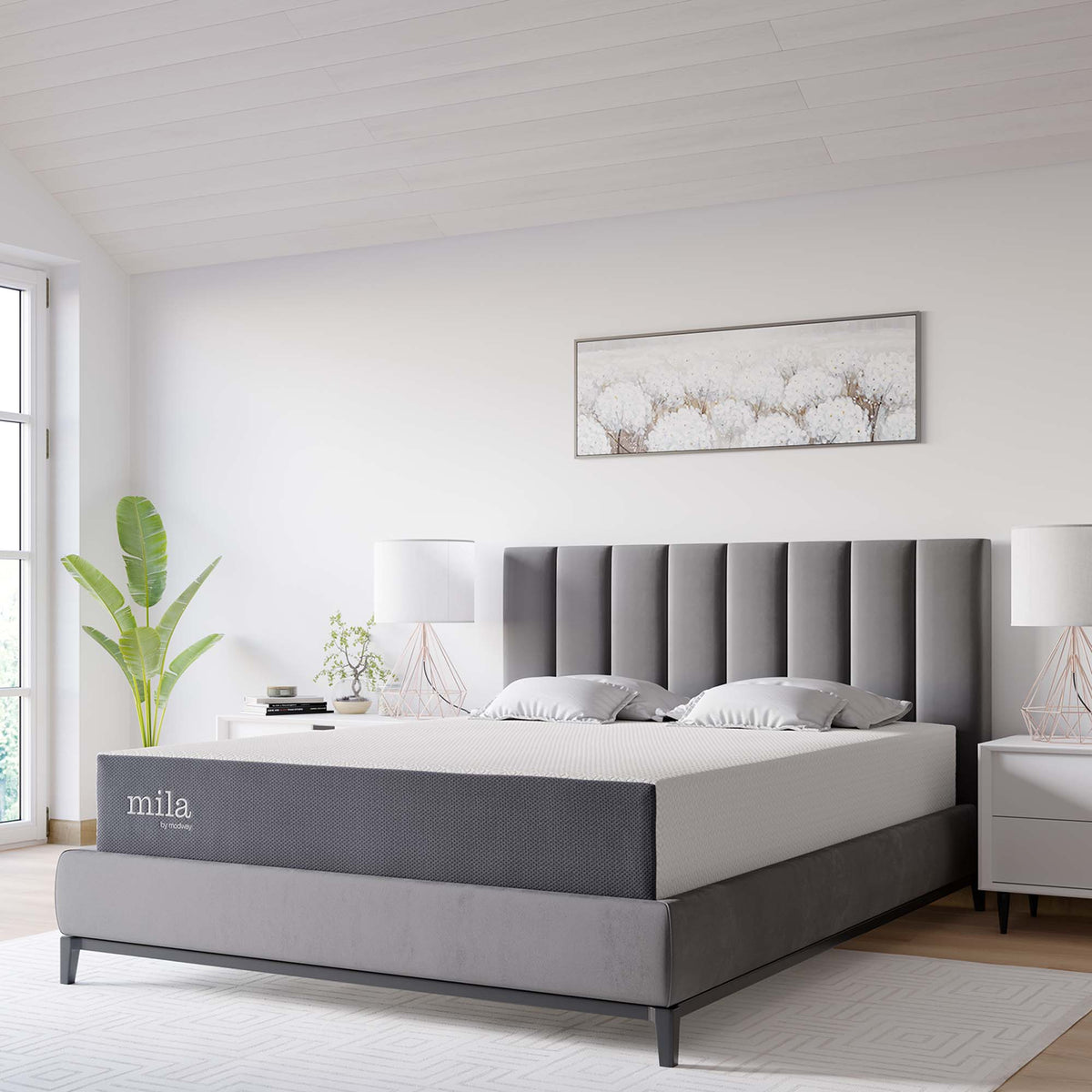 Mila 10" King Mattress