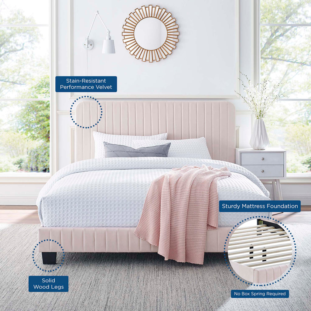 Celine Channel Tufted Performance Velvet Twin Platform Bed - Pink