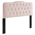 Sophia Tufted Performance Velvet Full/Queen Headboard - Pink