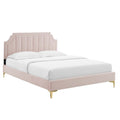 Sienna Performance Velvet Queen Platform Bed - Pink (MOD-6712-PNK)