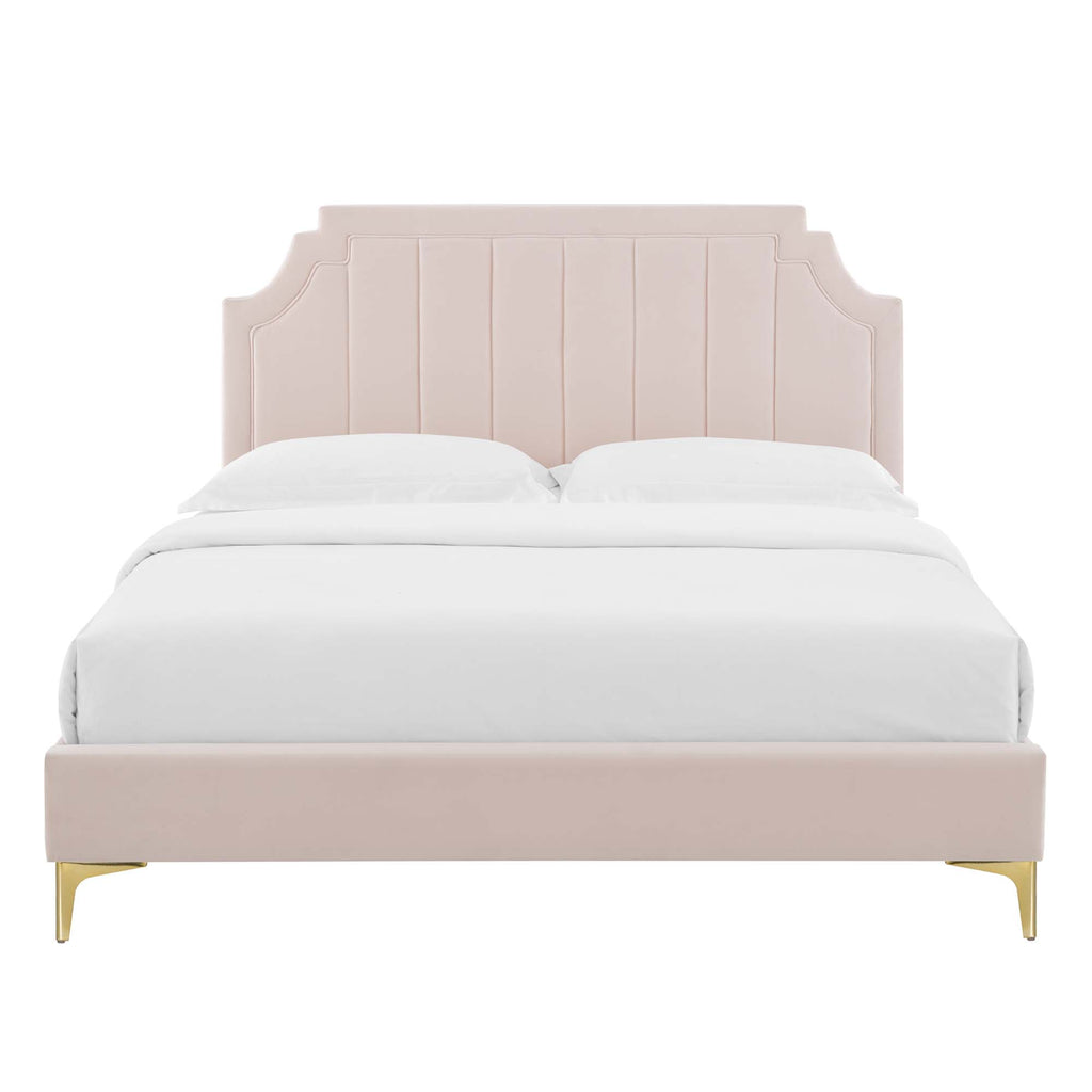 Sienna Performance Velvet Queen Platform Bed - Pink (MOD-6712-PNK)