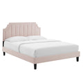 Sienna Performance Velvet Queen Platform Bed - Pink (MOD-6714-PNK)