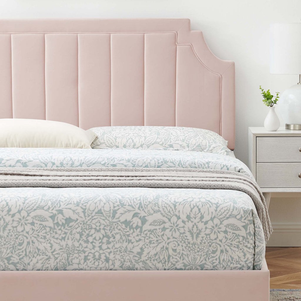 Sienna Performance Velvet Queen Platform Bed - Pink (MOD-6714-PNK)