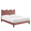 Current Performance Velvet Queen Platform Bed - Dusty Rose (MOD-6735-DUS)
