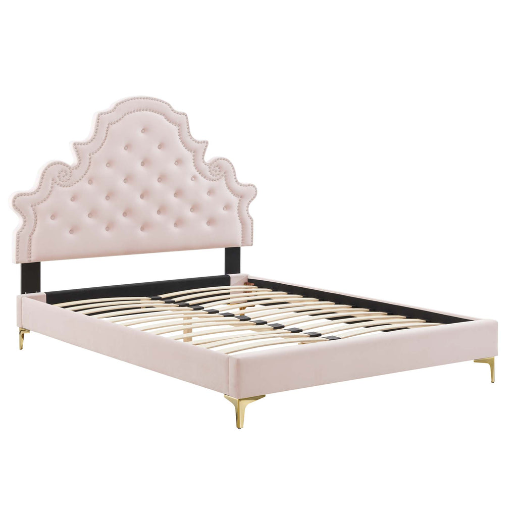 Gwyneth Tufted Performance Velvet Queen Platform Bed - Pink (MOD-6751-PNK)
