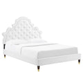 Gwyneth Tufted Performance Velvet Queen Platform Bed - White (MOD-6752-WHI)