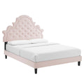 Gwyneth Tufted Performance Velvet Queen Platform Bed - Pink (MOD-6753-PNK)