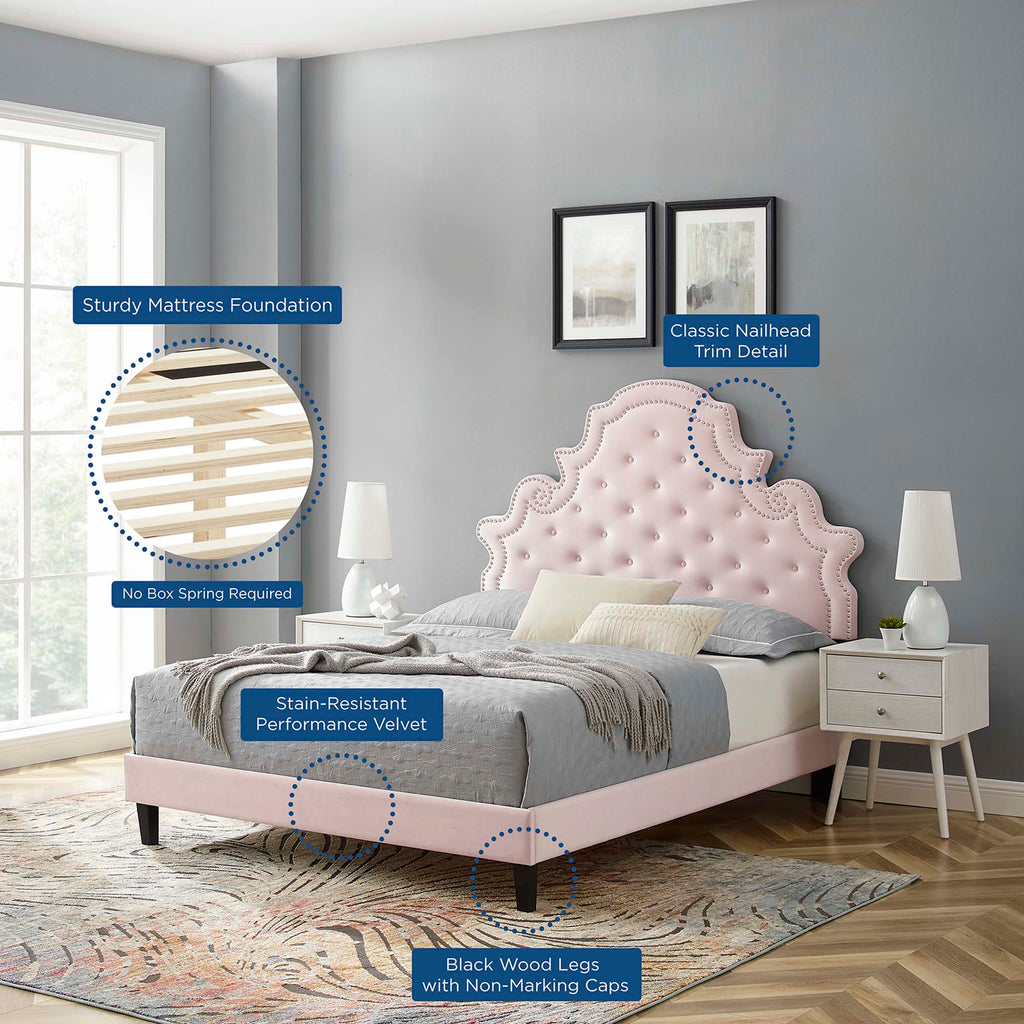 Gwyneth Tufted Performance Velvet Full Platform Bed - Pink (MOD-6759-PNK)