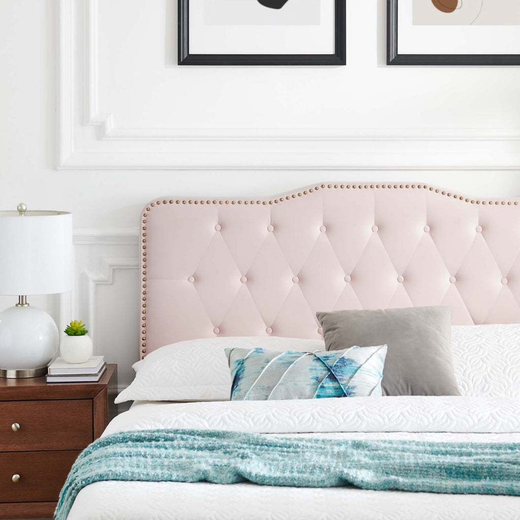 Amber Performance Velvet Queen Platform Bed - Pink (MOD-6777-PNK)