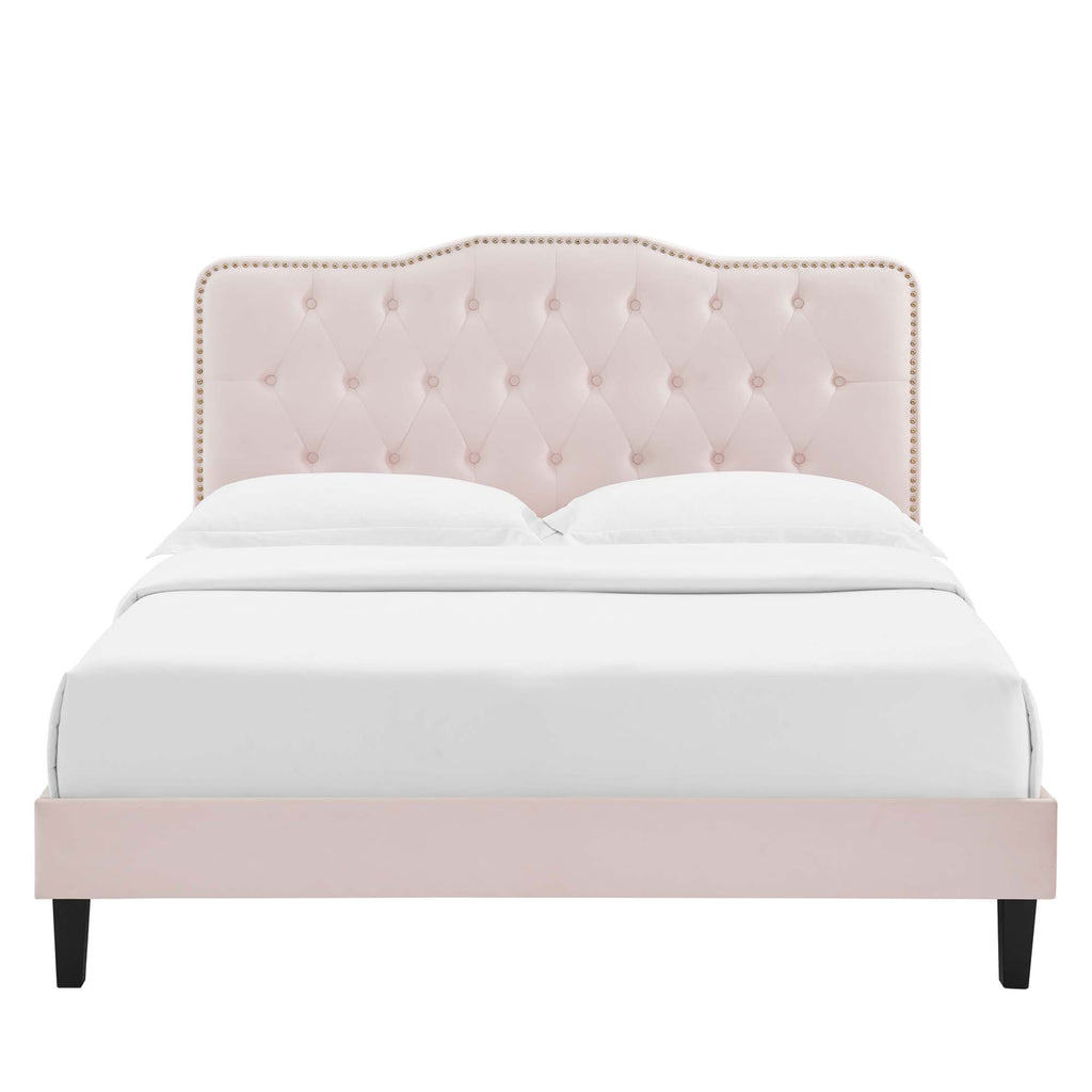 Amber Performance Velvet Queen Platform Bed - Pink (MOD-6777-PNK)