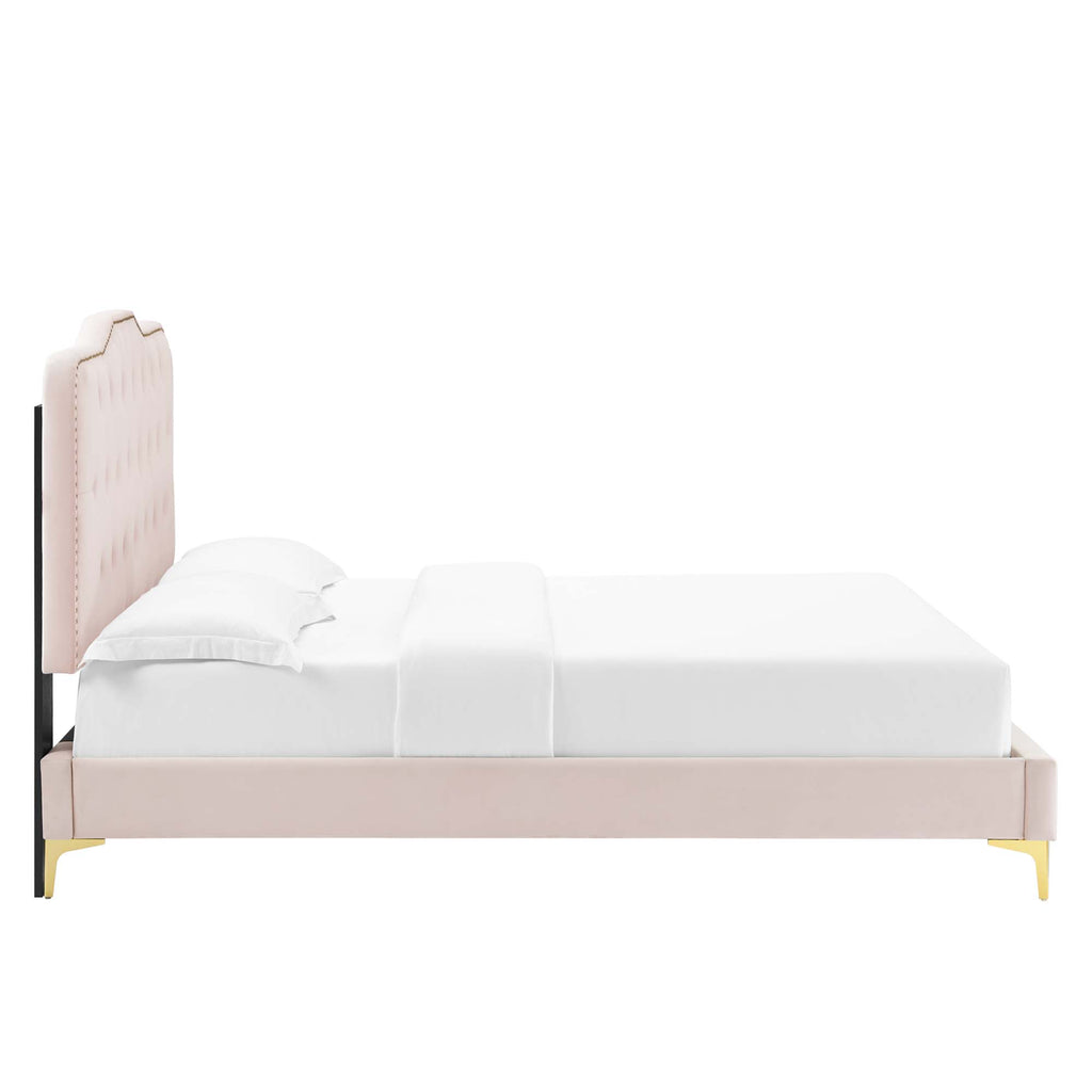 Amber Tufted Performance Velvet Twin Platform Bed - Pink