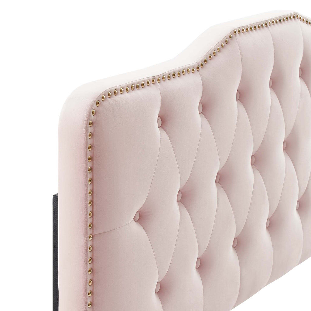 Amber Tufted Performance Velvet Twin Platform Bed - Pink