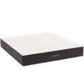 Aveline 12" California King Mattress - White