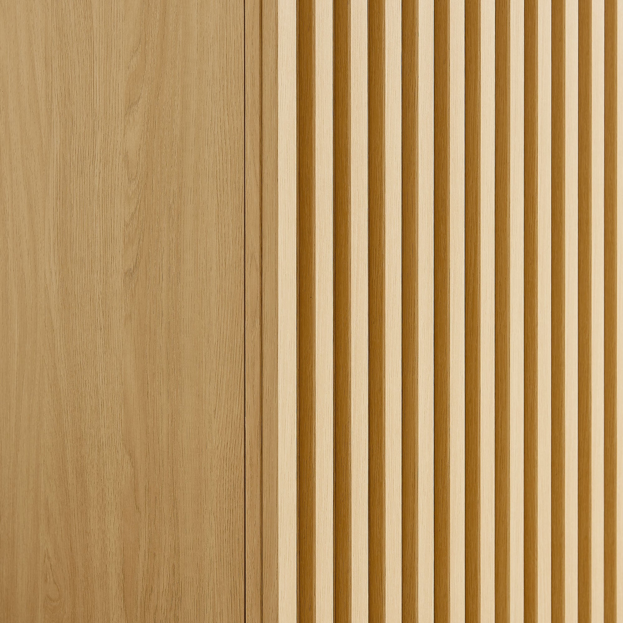 Render 2-Door Wardrobe Closet - Oak