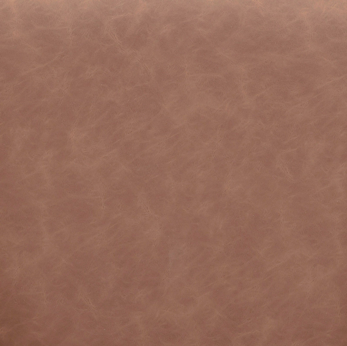Vina Performance Vegan Leather Dining Chair