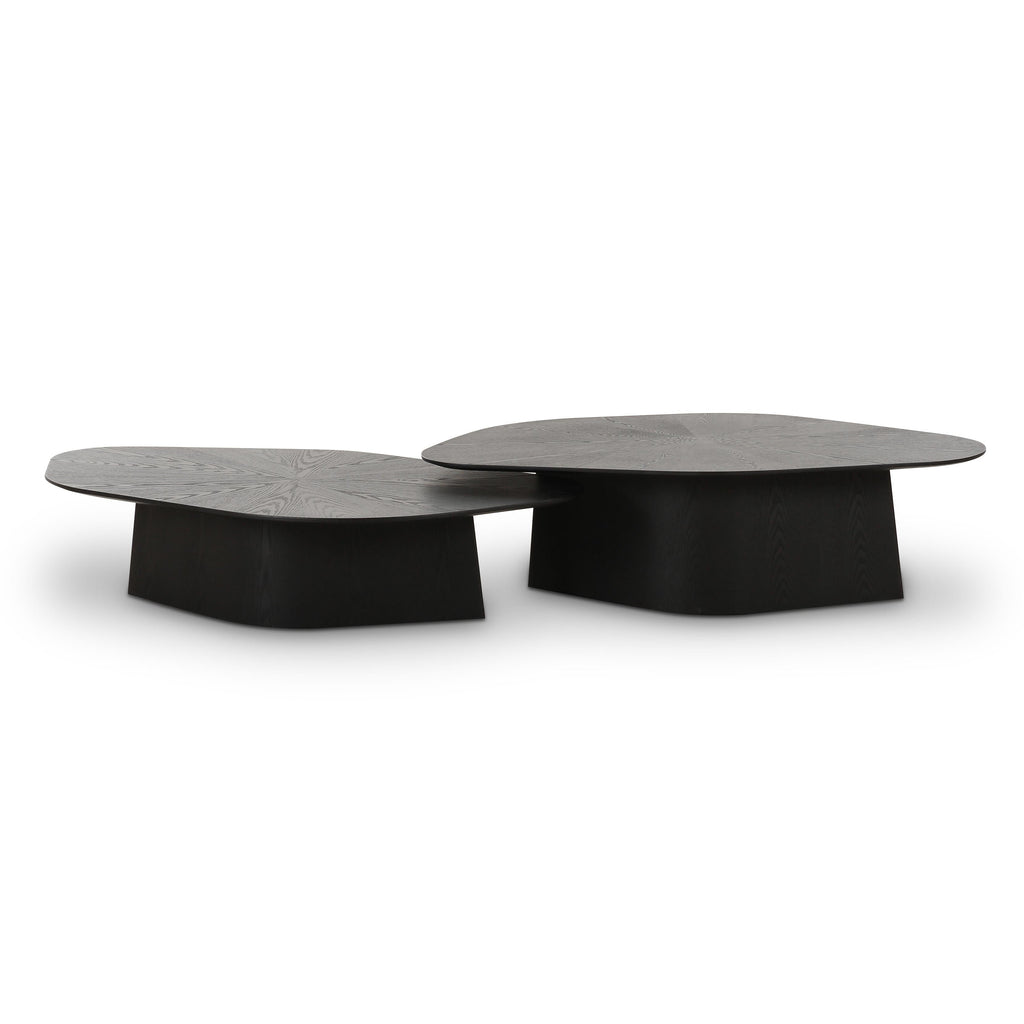 Roche 2-Piece Ash Nesting Coffee Table Set — Black null