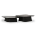 Roche 2-Piece Ash Nesting Coffee Table Set — Black null