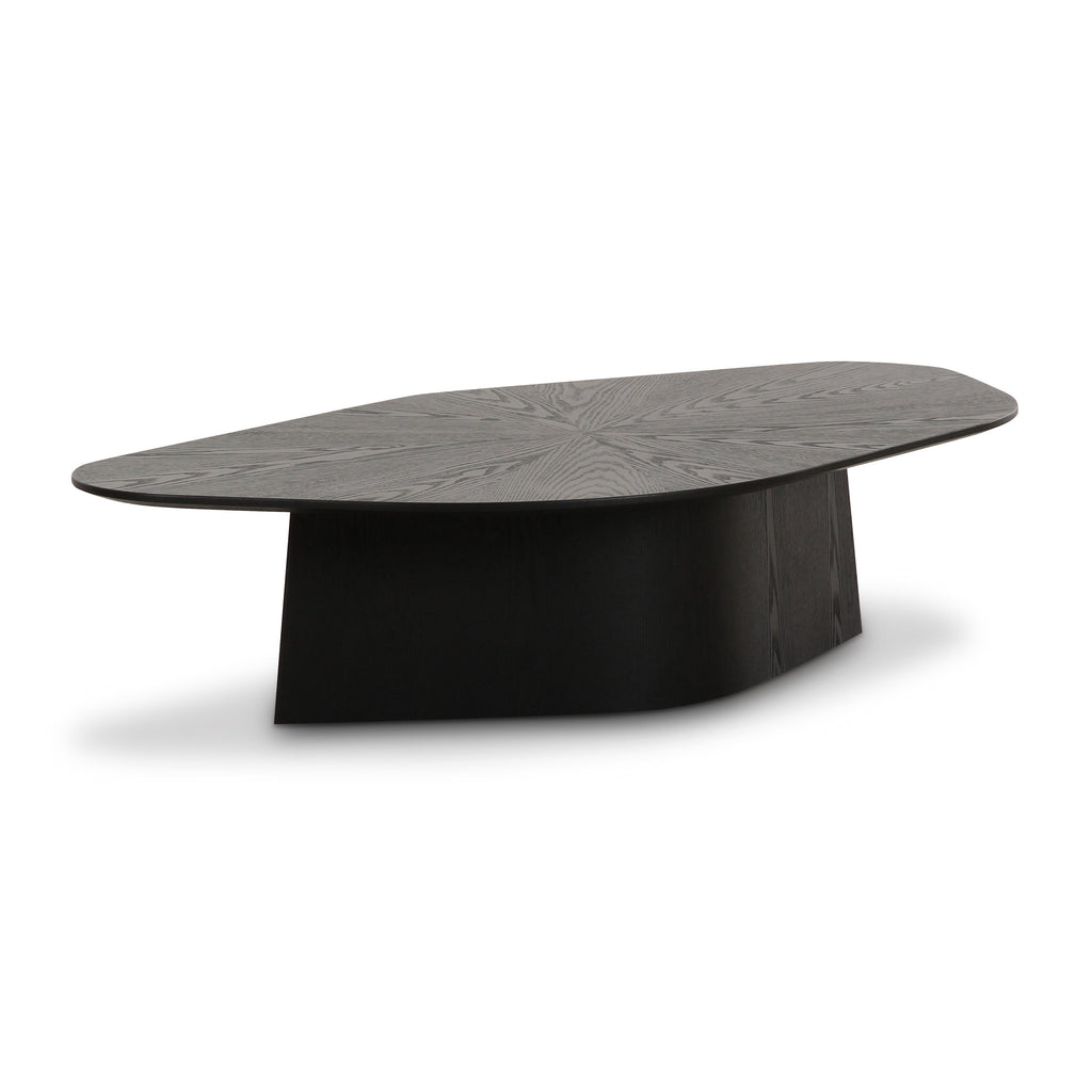 Roche 50" Ash Low Coffee Table — Black null