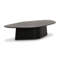 Roche 50" Ash Low Coffee Table — Black null