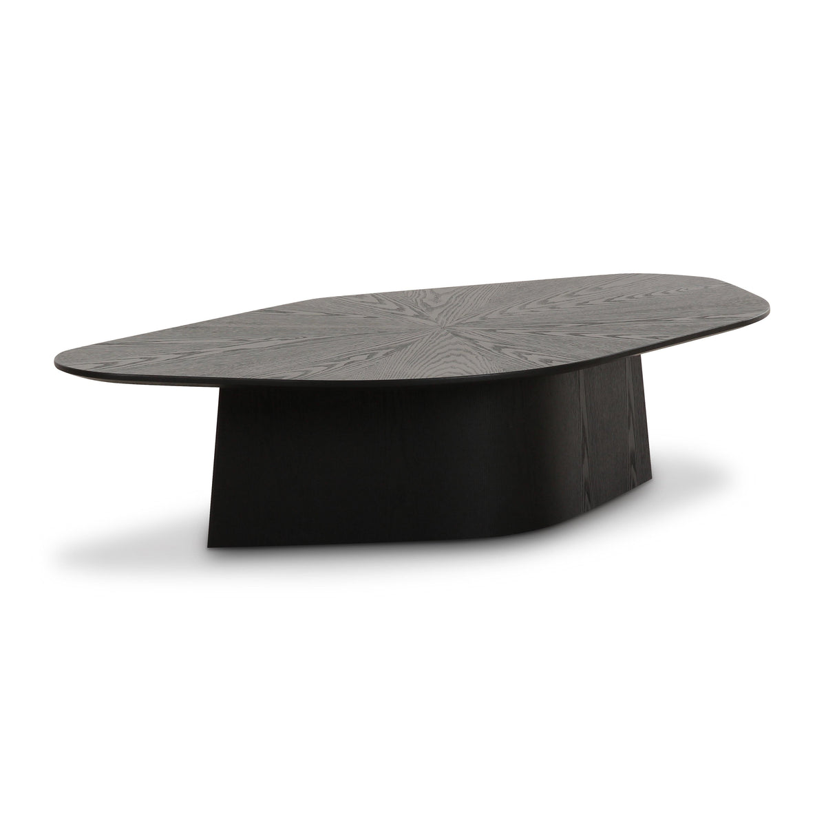 Roche 50" Ash Low Coffee Table — Black null