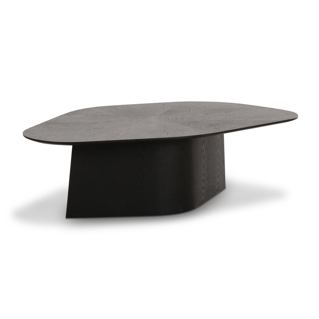 Roche 48" Ash Geometric Coffee Table — Black null