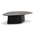 Roche 48" Ash Geometric Coffee Table — Black null