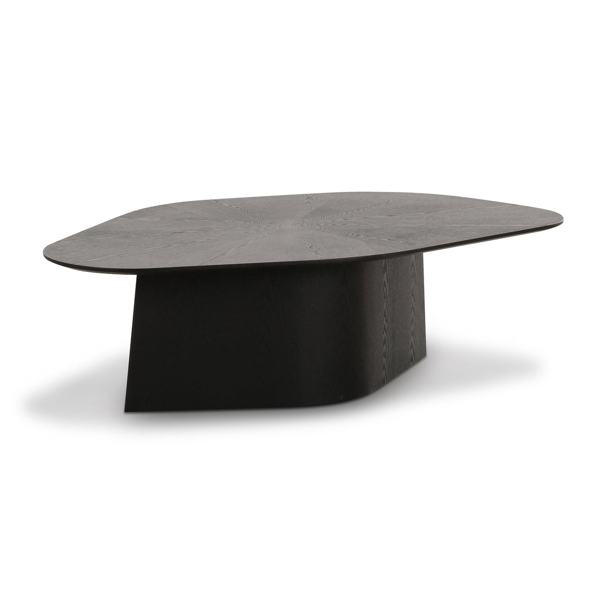 Roche 48" Ash Geometric Coffee Table — Black null