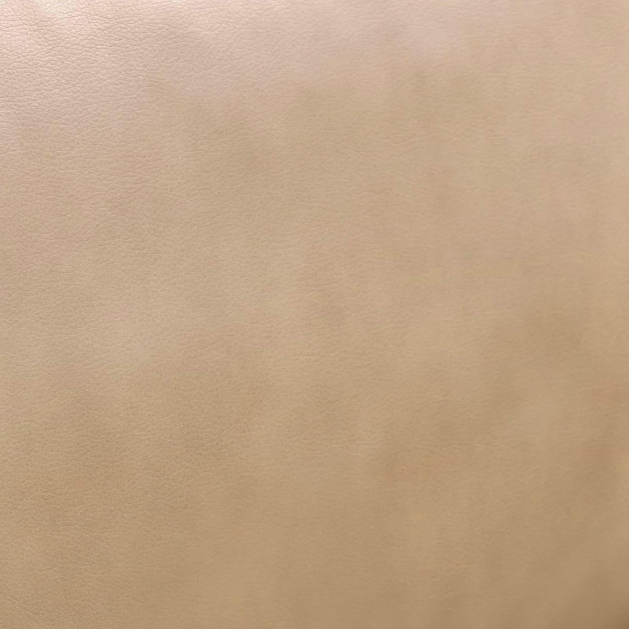 Chakka Contract-Grade Genuine Leather Accent Chair