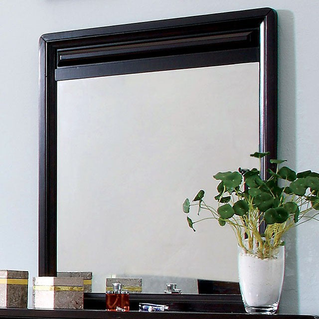 Winsor Mirror