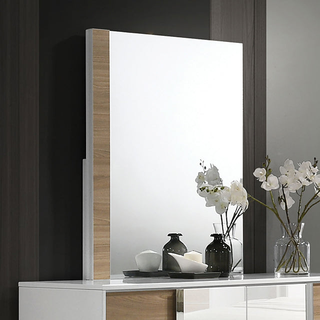 Erlangen Mirror