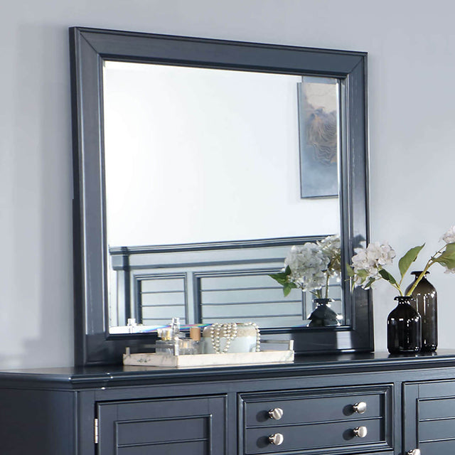 Manzanillo Mirror