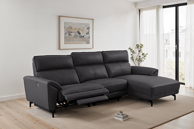 Theola Power Sectional