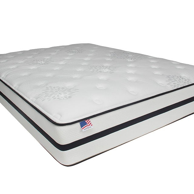 Daisy Bunkie Board