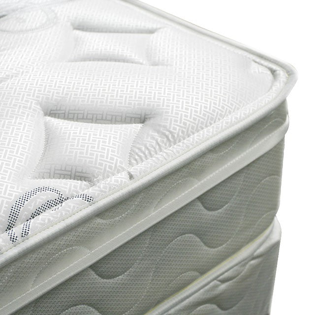 Jalen 9” Euro Top Mattress Non-Flip