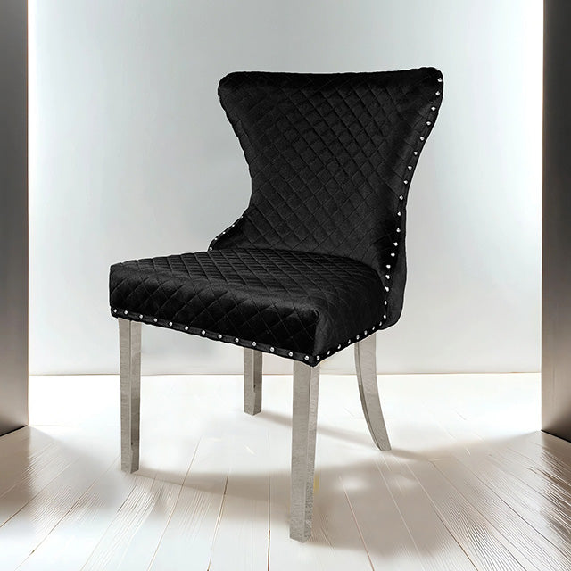 Portanova Set Of 2 Chair